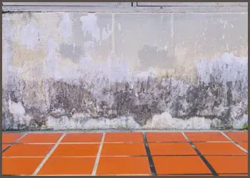 PlantationRestoration Expert Plantation, FL 954-613-6012 - water-damage-side