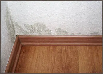 PlantationRestoration Expert Plantation, FL 954-613-6012 - water-leaks-side